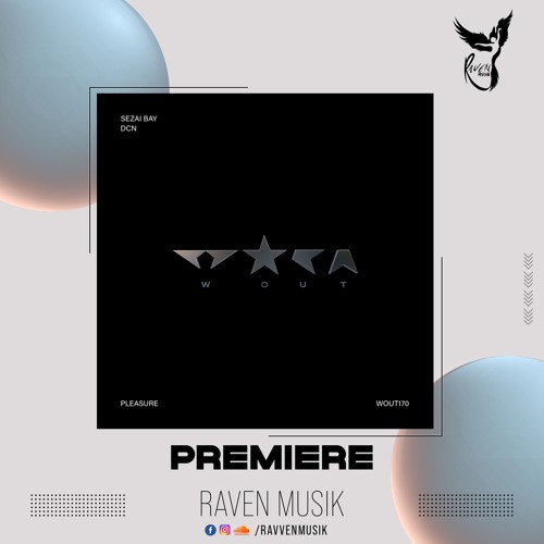 PREMIERE: Sezai BAY, DCN - Pleasure [Wout Records]