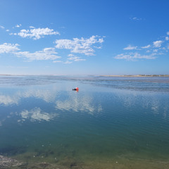 Song Of Deliverance CP