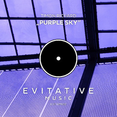 Timon Richard - Purple Sky [EVITAM010]