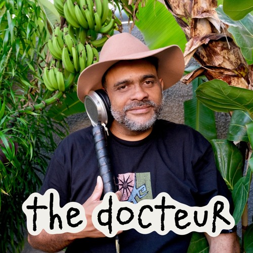 THE DOCTEUR ✸ Chicago Sunset