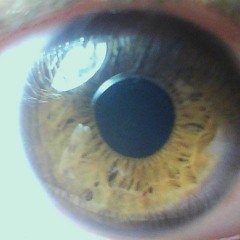 Waffle - Tyler Brown, Ray Waddell, John Bevier