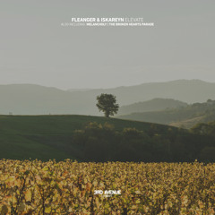 LTR Premiere: Fleanger - The Broken Hearts Parade [3rd Avenue]