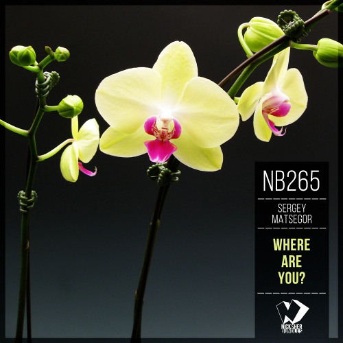 Sergey Matsegor - Where Are You? (Original Mix)