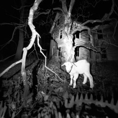 Cortar, Romper, Queimar