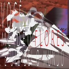 você me deu flores e eu te dei o mundo