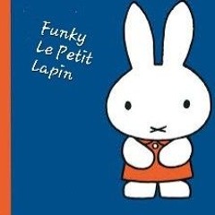 Funky Le Petit Lapin