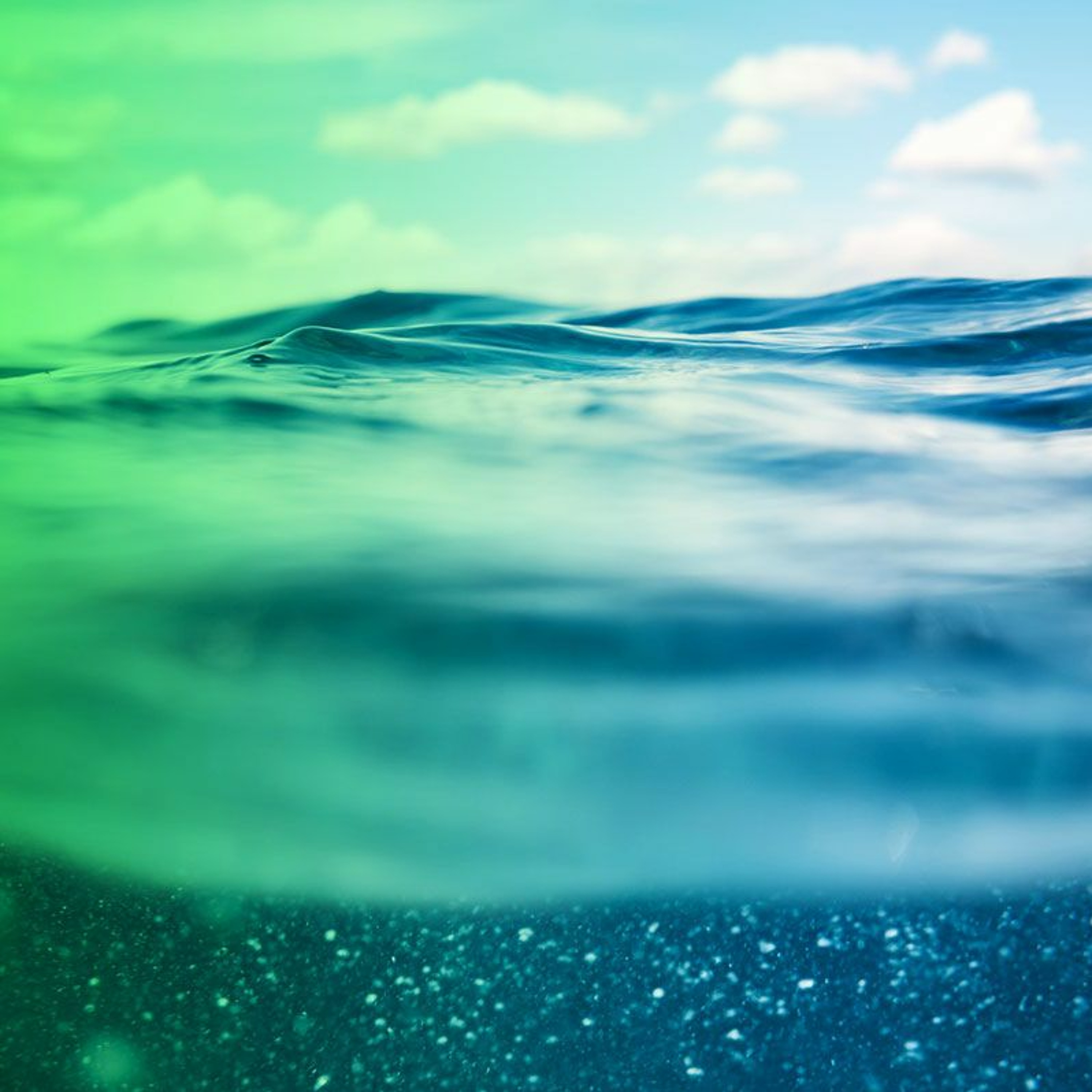 Audio Article: Study predicts the oceans will start emitting ozone-depleting CFCs