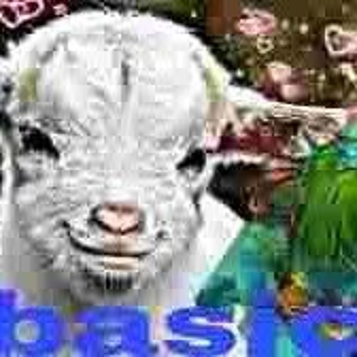 bobasic molchanie