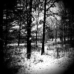 sewn (winter's wind)