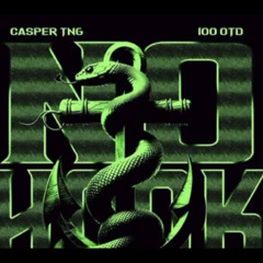CasperTNG x 100OTD | No Hook