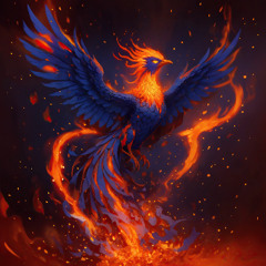 N-XD - NEW ERA 🐦‍🔥