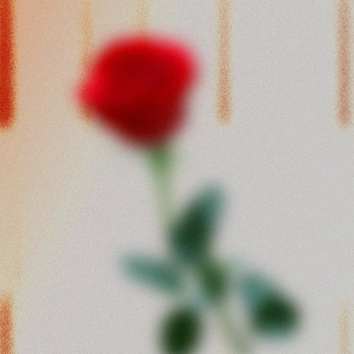A Strange Attractor w/ Fortuna Records 190723