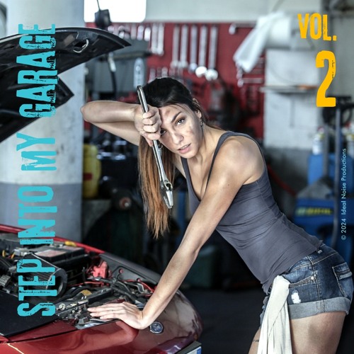Step Into My Garage - Vol. 2 [--  ideal noise --]