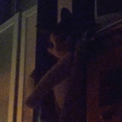 True Love Ways (Remix)