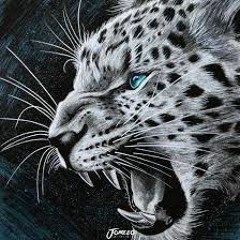 its the Jaguar intro