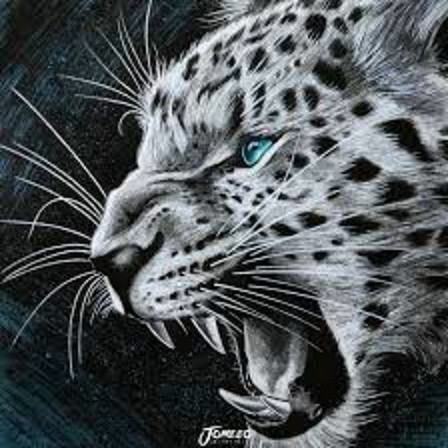 its the Jaguar intro