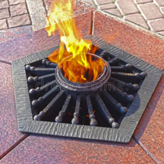 The Spark-0051 WL MX