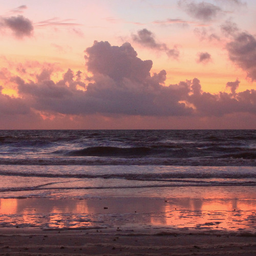 Finding Wisdom Below the Waves