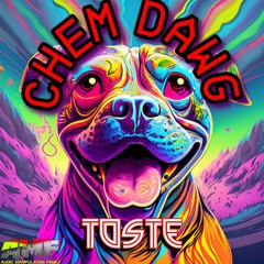 Chem Dawg (Original Mix)