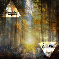 Elate - Mandala Affect