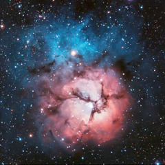 Nebulae for harpsichord and electronics (2024/2025) live at De Bijloke - Goska Isphording & CHP