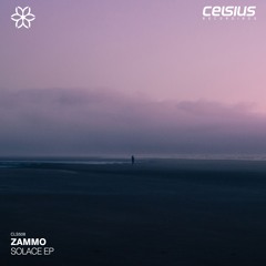 Zammo & Wez Walker - Into You