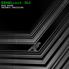 BRAWLcsat 362 / Data Raven - Photonic Processing