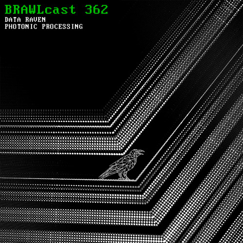 BRAWLcsat 362 / Data Raven - Photonic Processing