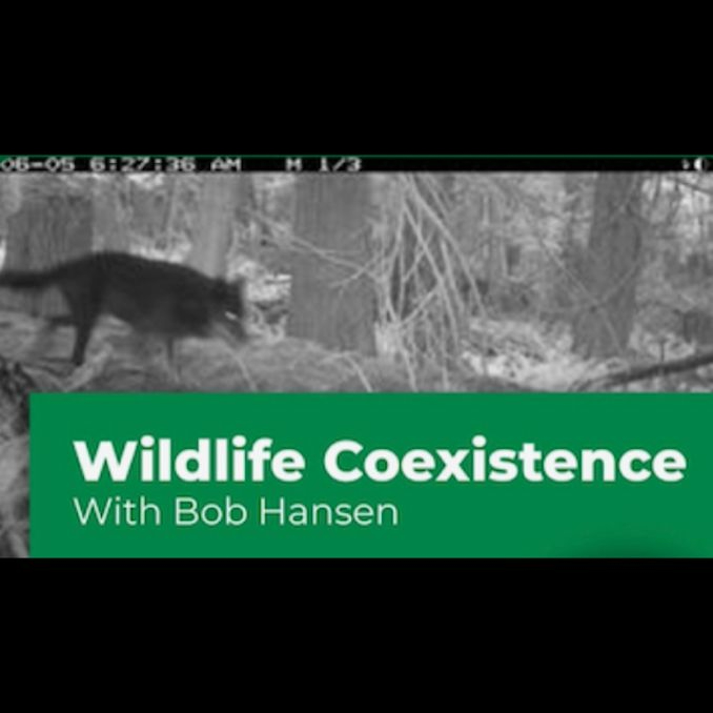 Much more than just an 'Electric Fencing Workshop' on Cortes Island