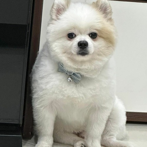 YEU KHONG HOI TIEC