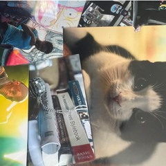 Un-Canny Cat Caddy Datty