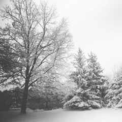 freezing to death 27 miles from home feat. Apucco (michael harrison)