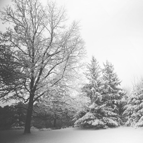 freezing to death 27 miles from home feat. Apucco (michael harrison)