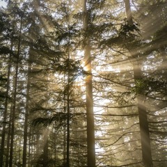 something comforting - porter robinson (remix)