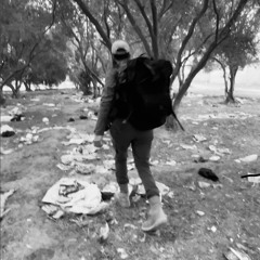 فَتنتَ رُوحي يا شَهيد.