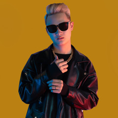 Lê Bảo Bình - Bỏ Lỡ Một Người Remix - ZED