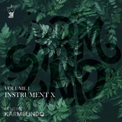 INSTRUMENT X - Volume 1