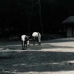 antiques roadshow (prod. Tsurreal X Nato)