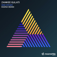 Premiere: Zankee Gulati - Mind Opener (Marsh Extended Remix) [Meanwhile]