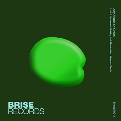 PREMIERE: Any Shade Of Green - Lost (Massimiliano Mascaro Remix [ Brise Records ]