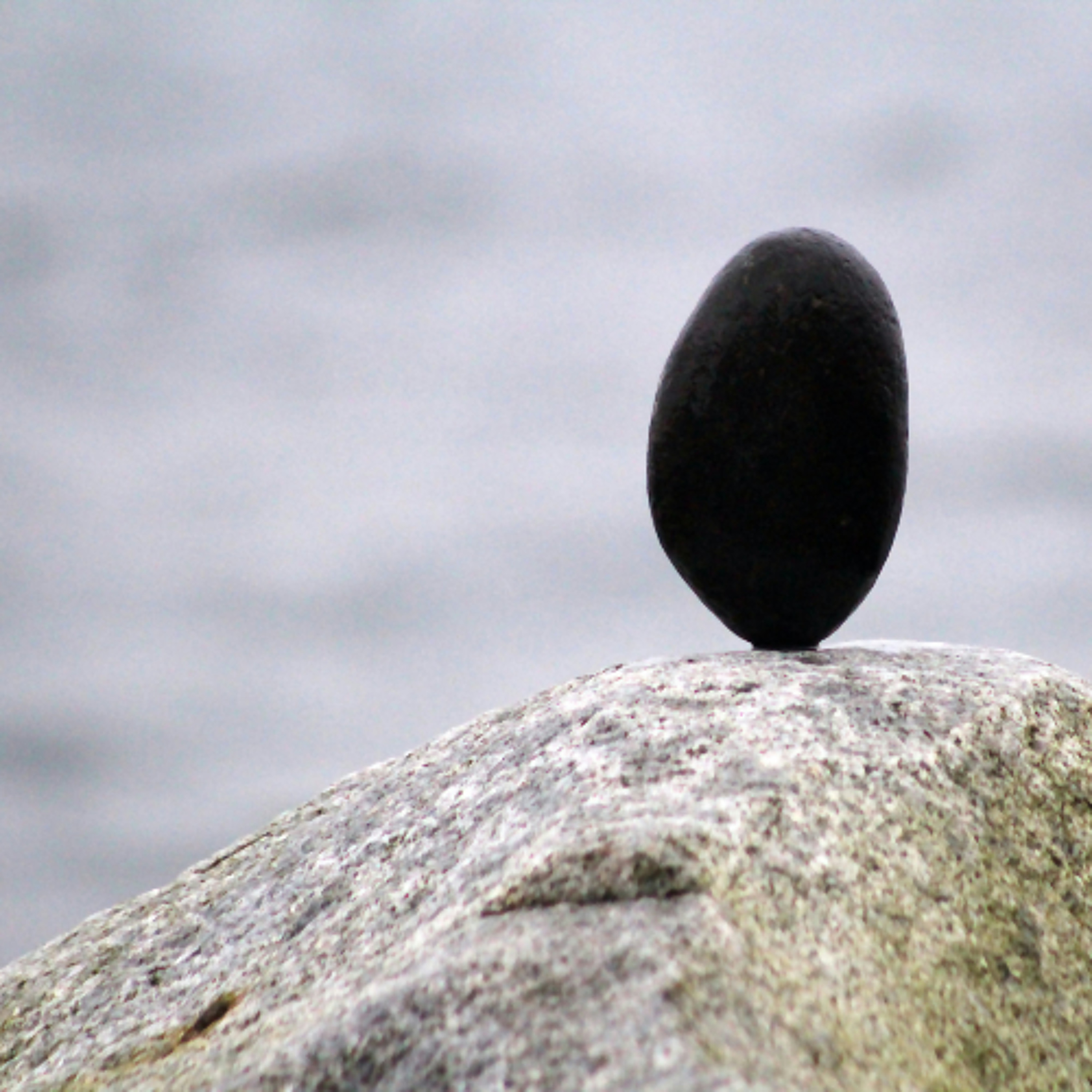 Associazione Kalyanamitta: Meditazione, Mindfulness, Buddhismo
