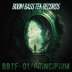 shroomy - Down To Earth [BBTF-01 / Principium]