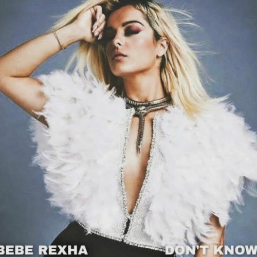 Bebe Rexha - Don't Know (Unreleased)