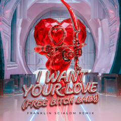 I Want Your Love (Free Bitch Baby) - Franklin Scialom Remix FREE DOWNLOAD
