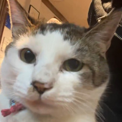 아름 - 주영(feat.죠지) covered by Jho