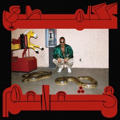 Shabazz Palaces - Binoculars (feat. Royce The Choice)