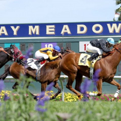 Bay Meadows (click)
