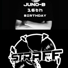Juno-B 16 Birthday Booster Straff Vinyl set!!