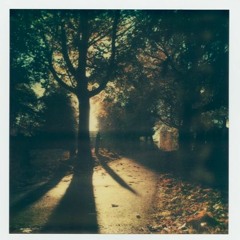 leave u behind