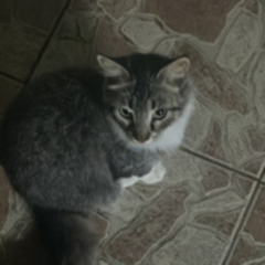 confiar (prod. Say2Cups)